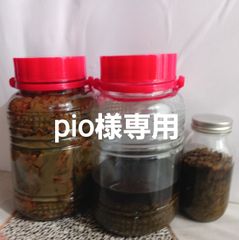 Pio様専用 チンキセット