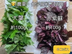 2025年最新】紫蘇 無農薬の人気アイテム - メルカリ