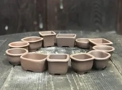 457 盆栽　盆栽鉢　植木鉢　和鉢　泥珠 457 盆栽盆栽鉢植木鉢和鉢泥珠