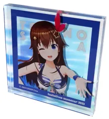 2025年最新】ホロライブ アクリルパネル サマーの人気アイテム