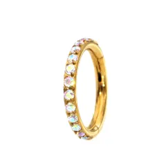 ボディピアス ジュエル付き リング ピアス セグメントリング (ゴールド・レインボー)(18G)(内径6mm)