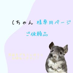 Cちゃんご依頼品(うちの子名刺)