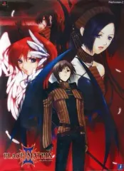 【中古】ポスター(アニメ) B2販促ポスター 「PS2ソフト BLACK/MATRIX 2 -ブラックマトリクス 2-」