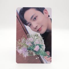 VAxmDwpmtFcDt4mntKphxd.jpg@jpg