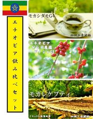 エチオピア飲み比べセットB　自家焙煎コーヒー豆3種(100g×3個)