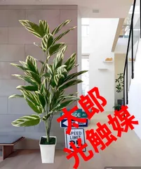光触媒人工観葉植物ウォールグリーンフェイクグリーンクテナンテajt