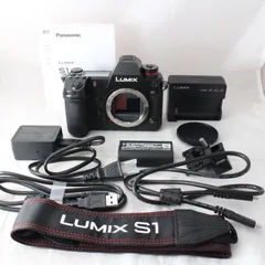 2025年最新】lumix dc-s1の人気アイテム - メルカリ 2025年最新】lumix dc-s1の人気アイテム - メルカリ