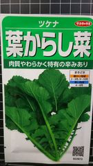 葉 からし菜 カラシナ ツケナ 種 郵便 ３袋セット