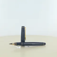 2025年最新】namiki falconの人気アイテム - メルカリ