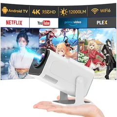 Amazon.co.jp: HY320 ミニ新ネイティブ 720P Android 11 4K