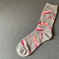 生き物シリーズ　イカ靴下　〜メンズレディース問わず♪〜　レディースソックス