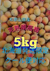 南高梅　完熟　5kg