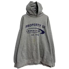 Hanes プリントスウェット パーカー 2XL グレー ヘインズ プルオーバー ビッグサイズ カンガルーポケット 古着卸 アメリカ仕入 a612-7897