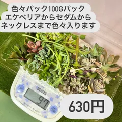 〜多肉植物カット苗〜色々セット(タイトゴメ.姫秀麗，子持ち蓮香，爪蓮華，ドルフィンネックレス.ルビーネックレス.アーモンドネックレス.グリーンネックレス.シルバースター.丸葉万年草などなど)