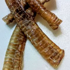 国産　無添加　鹿の気管50g