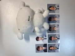 2025年最新】ガンバボーイ ぬいぐるみの人気アイテム - メルカリ