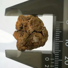 2024年最新】パラサイト隕石の人気アイテム - メルカリ