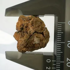 2024年最新】meteoriteの人気アイテム - メルカリ