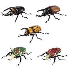 【中古】トレーディングフィギュア 全5種セット 「いきもの大図鑑 かぶとむし08」