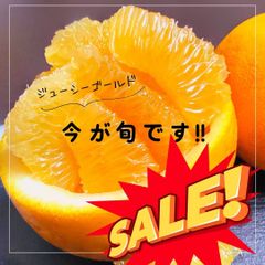 愛媛玉津産　ジューシーゴールド　河内晩柑　和製グレープフルーツ　家庭用8kg