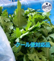 クール便対応品　春菊　バラ詰め　1キロ