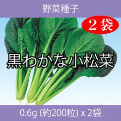 野菜種子 EBT 黒わかな小松菜 0.6g(約200粒) x 2袋