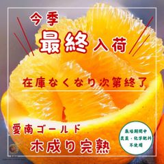 サイズ混合‼️愛媛愛南町産　樹齢20年以上　農薬栽培期間中不使用　愛南ゴールド8kg