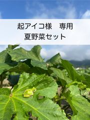 【起アイコ様 専用】夏野菜セット