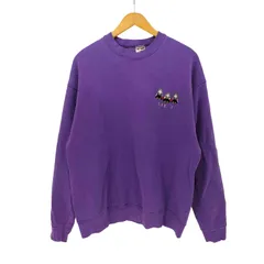 フルーツオブザルーム FRUIT OF THE LOOM 90S USA製 WE 3 刺繍 裏起毛 クルーネック スウェット トレーナー メンズ import：XL 