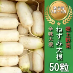 2025年最新】辛味大根の人気アイテム - メルカリ 2025年最新】辛味大根の人気アイテム - メルカリ