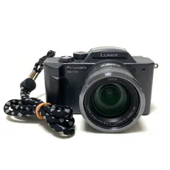 2025年最新】dmc fz2の人気アイテム - メルカリ