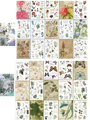 【在庫セール】40枚(2冊入り) レトロ コラージュ 素材 和紙 植物 フレークシール 花 ステッカー シール かわいい 大量 手帳用 大人 女子 DIY Zolarkar 手作り 写真 家計簿 日記 コラージュ 素材 デコレーションシール（玉叶 花）