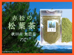 ✽赤松の松葉茶 75ｇ秋田産・自然無農薬（おまけ付）☆国産赤松