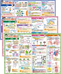 【人気商品】日本製 中学受験に必要な理科まとめ 3枚セット B3サイズ お風呂ポスター 学習 中学受験マスターどこでも理科 知育 お風呂の学校 防水