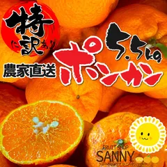 2026年最新】訳ありポンカンの人気アイテム - メルカリ