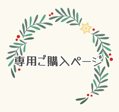 専用3