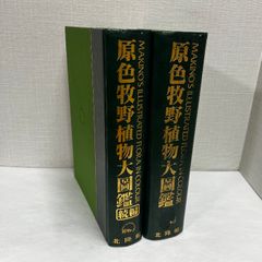 ボッティチェルリ 神曲 素描 ベルリン美術館 ヴァティカン美術館
