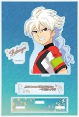イナズマイレブンGO イーダイナー 白竜 缶バッジ18点セット イナズマイレブンGO イーダイナー 白竜 缶バッジ18点セット