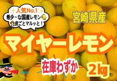 【限定❣️先着4名様】マイヤーレモン2㎏/レモン　国産レモン　みかん　きんかん