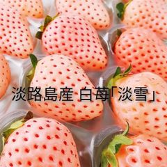 淡路島産 白苺 淡雪 アイランドベリー 2パックセット いちごイチゴ