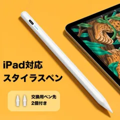 iPadに対応したスタイラスペン 磁気吸着対応、待機時間：約365日、Type C、交換用ペン先 ×2付属