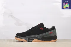 【今日特価】Air Jordan 4 HF3255-001 エアジョーダン 4 ブラックレッド（Black Red）