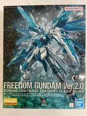 2025年最新】MG 1/100 ZGMF-X10A フリーダムガンダム の人気