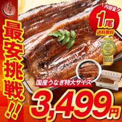 鰻 うなぎ 蒲焼き 無頭特大サイズ 約200g×1尾 ウナギ