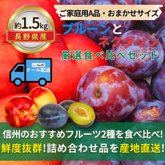 プルーンとネクタリン ～厳選食べ比べセット～【内容量】約1.5kg【配送方法】クール配送【サイズ】当店お任せ【品目】プルーンとネクタリン【品種】当店お任せ【産地】長野県【規格】ご家庭用A品【詰め方】バラ詰め【配送までの日数】1～4日