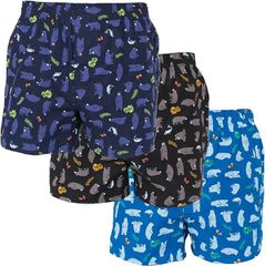 Item thumbnail for item bb14e9f7-9ae5-41f9-a234-bae3745cea2a