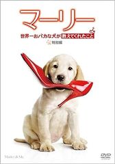 バーニーズ・バージョン ローマと共に [DVD] oyj0otl バーニーズ・バージョン ローマと共に [DVD] - メルカリ