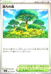 活力の森(U)(061/063)