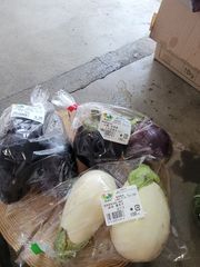 落札初めての方用　ナス３種セット