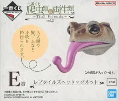 一番くじ　爬虫類　両生類　E賞　レプタイルズヘッドマグネット　フィギュア 2025年最新】爬虫類 くじ マグネットの人気アイテム - メルカリ